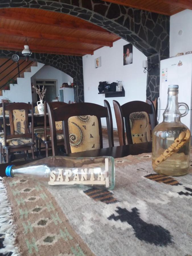 Pensiunea Montana Sapinta Luaran gambar